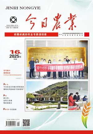 今日农业封面