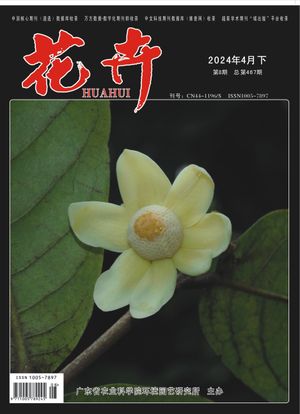 花卉封面