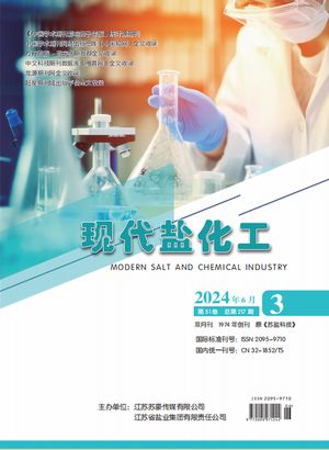 现代盐化工封面