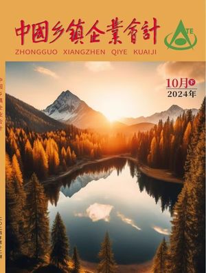 中国乡镇企业会计封面