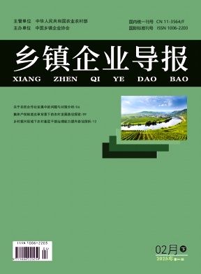 乡镇企业导报封面