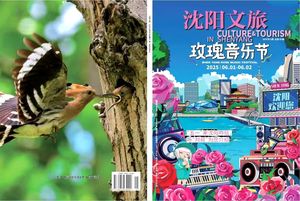 沈阳文旅封面