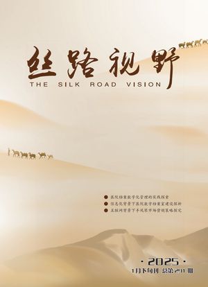 丝路视野（维普）封面