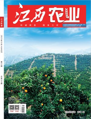江西农业封面