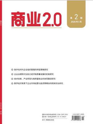 商业2.0封面