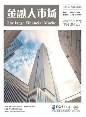 金融大市场（知网国际刊）封面