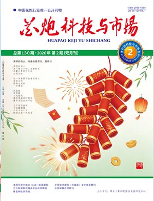 花炮科技与市场封面