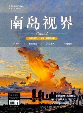 南岛视界封面