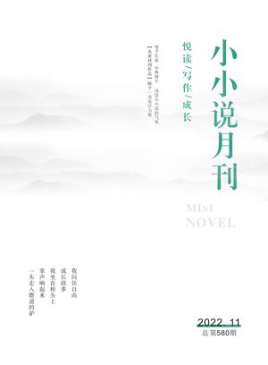 小小说月刊封面