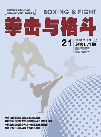 拳击与格斗封面