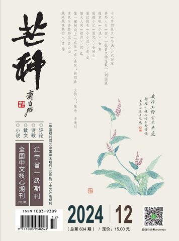 芒种封面