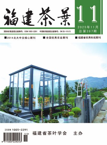 福建茶叶封面