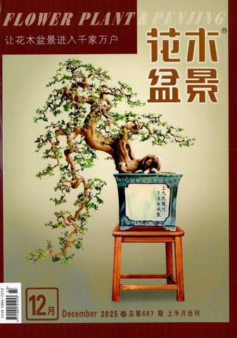 花木盆景封面