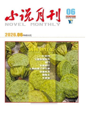 小说月刊（知网）封面