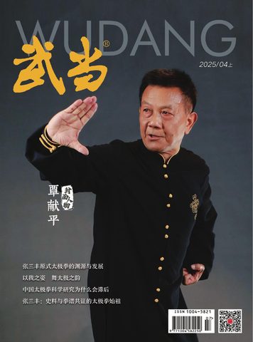 武当（知网）封面