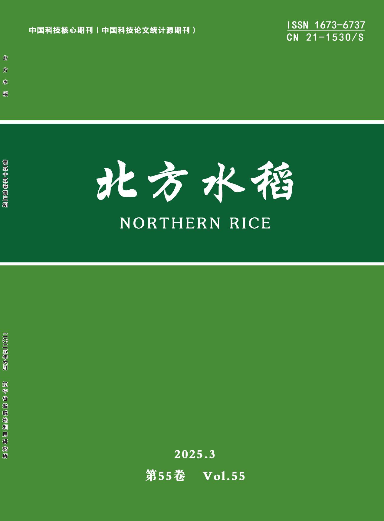 北方水稻封面