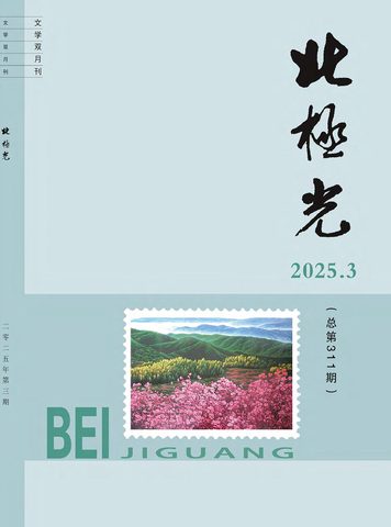 北极光封面