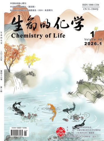 生命的化学封面