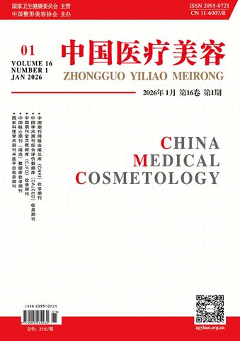 中国医疗美容封面