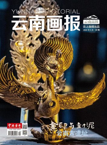 云南画报封面