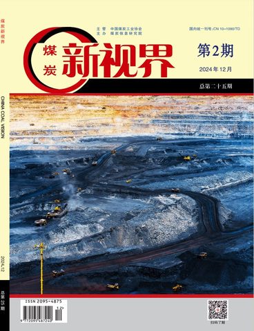煤炭新视界封面