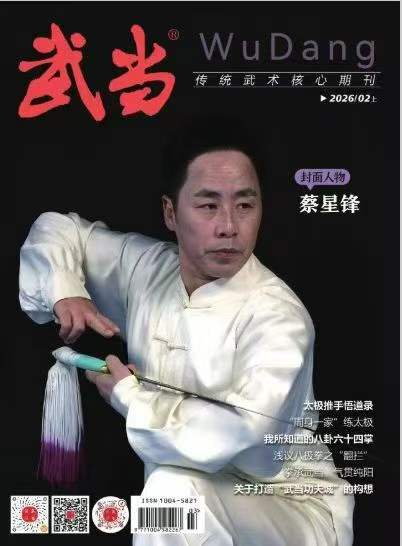 武当（万方）封面
