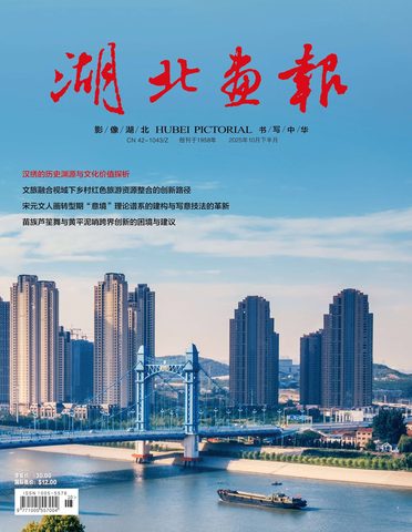 湖北画报封面