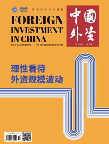 中国外资封面