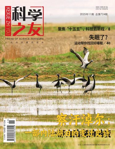 科学之友封面