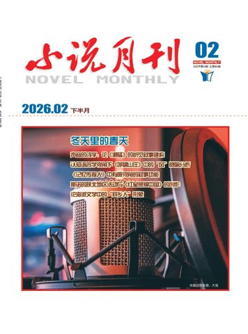 小说月刊（维普）封面
