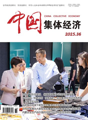 中国集体经济封面