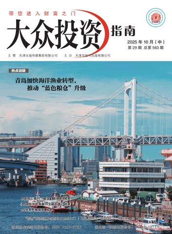 大众投资指南封面