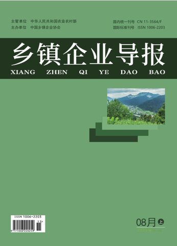 乡镇企业导报封面