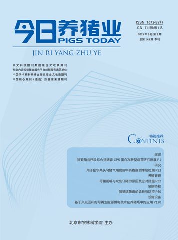 今日养猪业封面